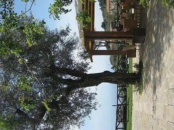 Tenuta Montecorbo Massa Lubrense
