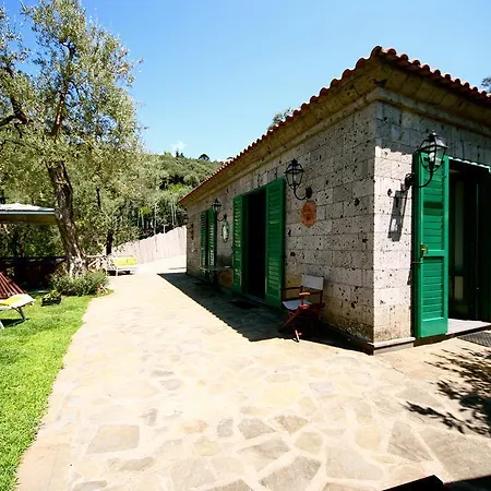 Tenuta Montecorbo *