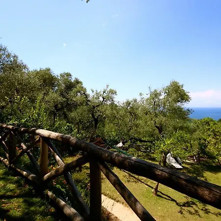 Tenuta Montecorbo Κατάλυμα σε φάρμα *