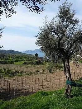 Tenuta Montecorbo Κατάλυμα σε φάρμα Massa Lubrense