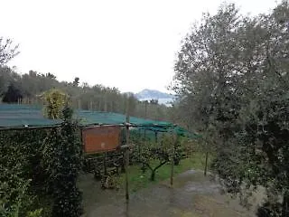 Tenuta Montecorbo